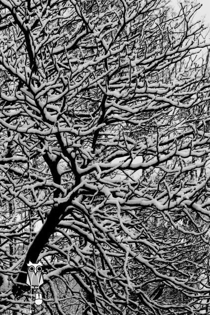 winterblicke048_sw.jpg