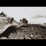 Strand1