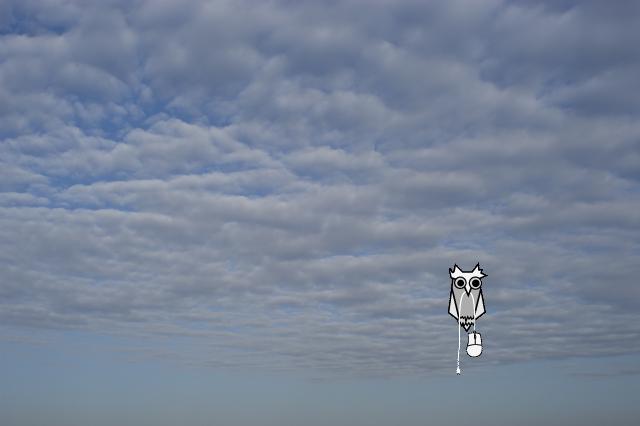 DSC_0780_001.jpg
