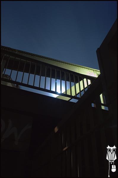 night_0004.jpg