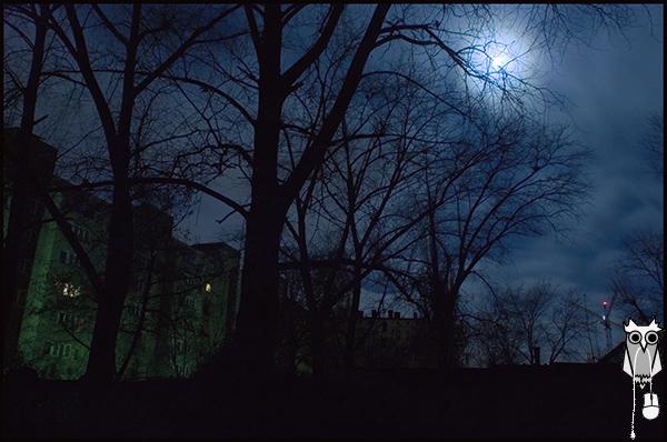 night_0005.jpg