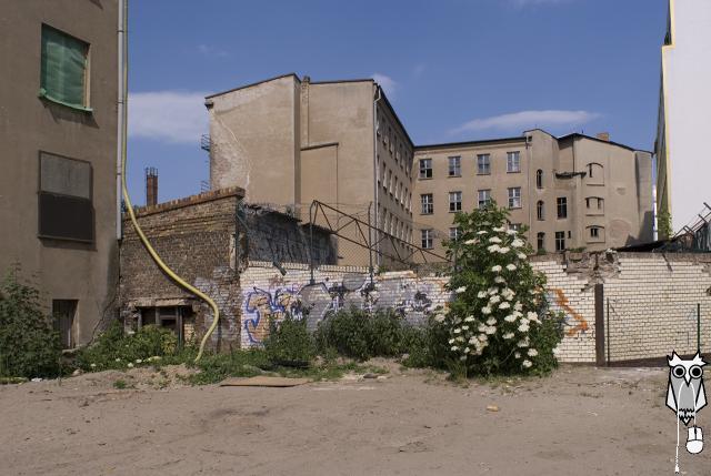 bln0043.jpg