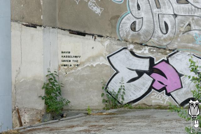 BLN0090_hasselhoff.jpg