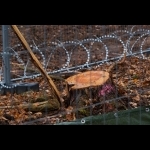 kelsterbach_094
